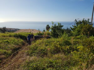 Read more about the article Grundstück auf Madeira