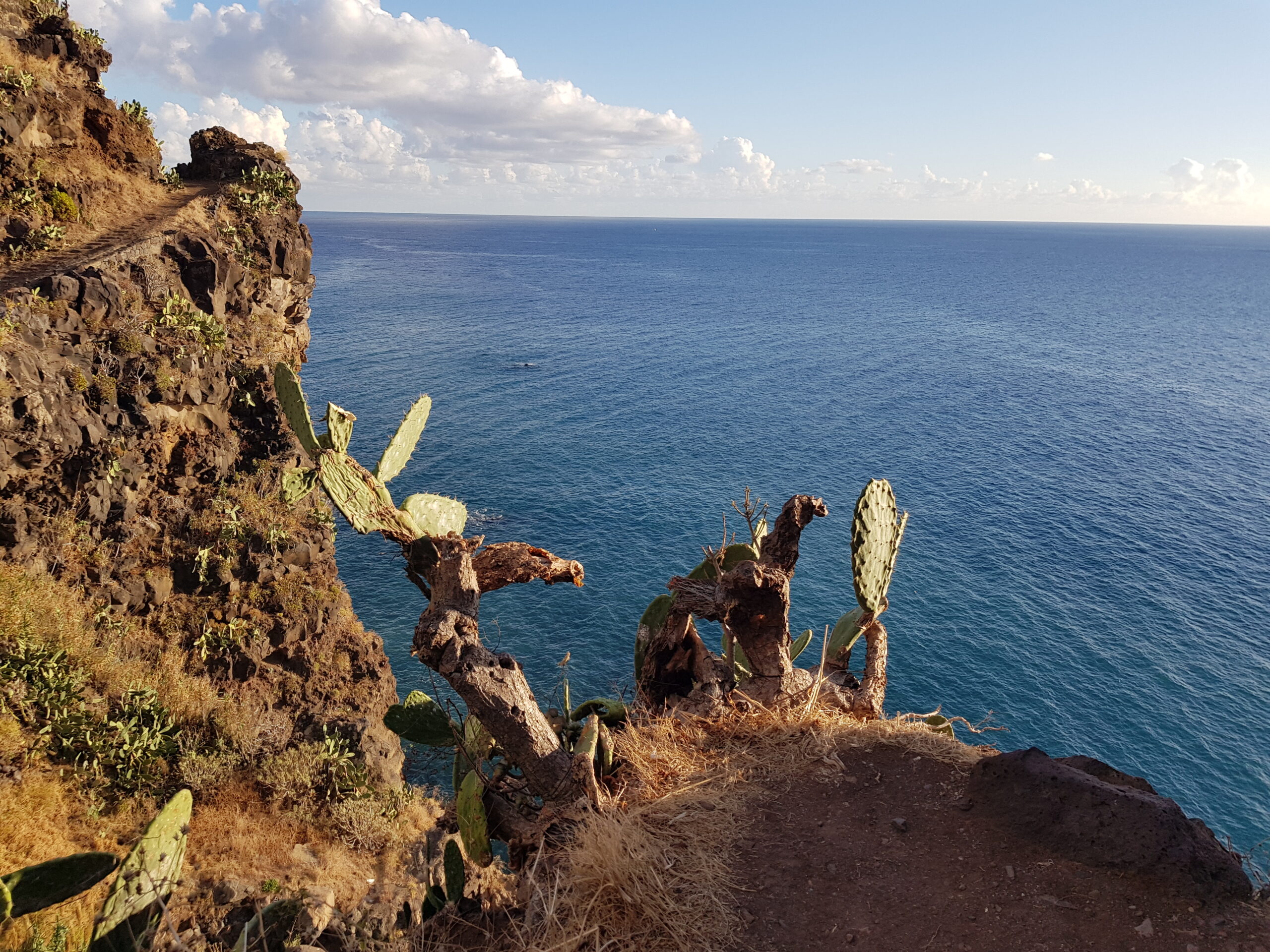 Read more about the article Kaufabwicklung auf Madeira